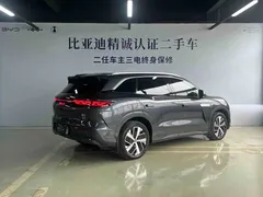 2025 BYD Tang L PHEV 200KM 4WD LiDAR Flagship — фото 4