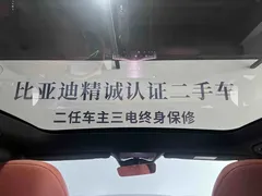 2025 BYD Tang L PHEV 200KM 4WD LiDAR Flagship — фото 19