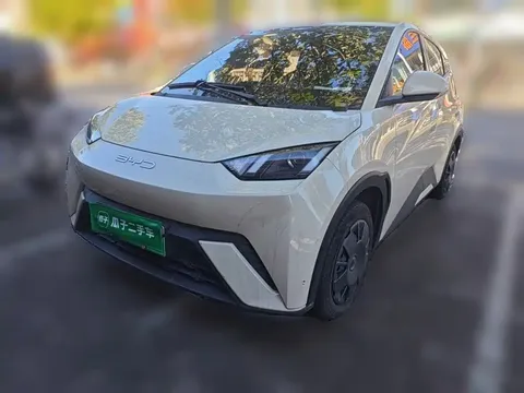 2023 BYD Seagull Vitality
