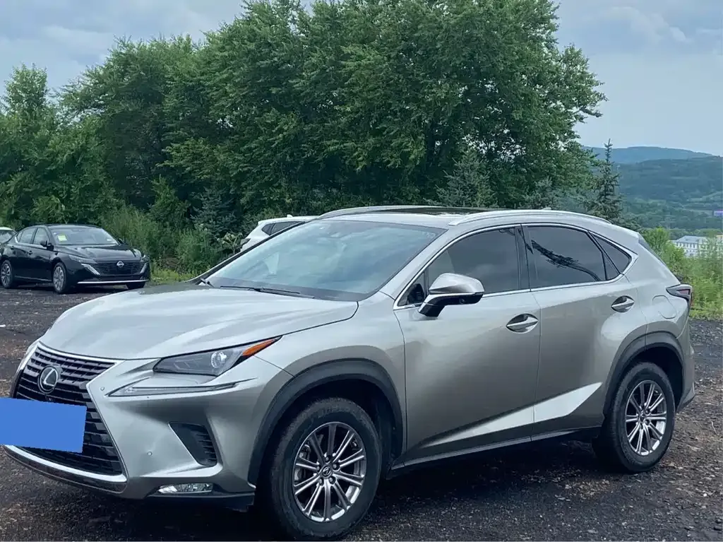 2020 Lexus NX 200 4WD Fashion China VI