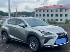 2020 Lexus NX 200 4WD Fashion China VI — фото 2