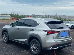 2020 Lexus NX 200 4WD Fashion China VI — фото 3