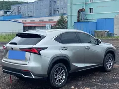 2020 Lexus NX 200 4WD Fashion China VI — фото 4