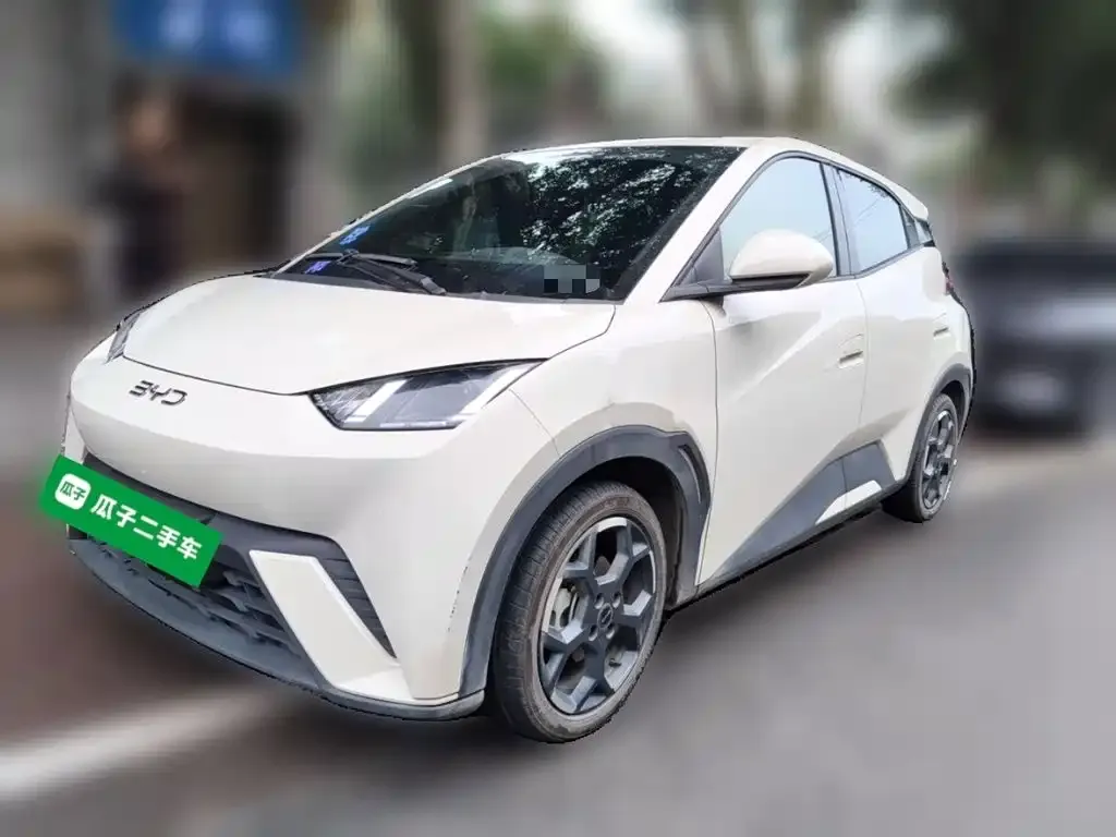 2025 BYD Seagull 305km Freedom