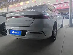 2023 BYD Qin PLUS Champion EV 420km, белый — фото 3