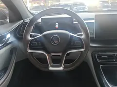 2023 BYD Qin PLUS Champion EV 420km, белый — фото 15