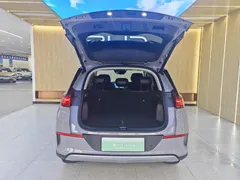 2025 BYD Sea Lion 05 EV 520KM Flagship — фото 16