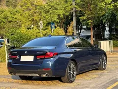 2021 BMW 5 Series 530Li Leading M Sport Package, синий — фото 7