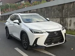 2023 Lexus NX 260 2WD Special Edition, белый — фото 3