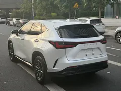 2023 Lexus NX 260 2WD Special Edition, белый — фото 13