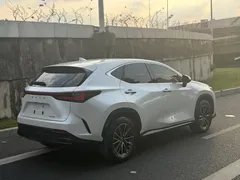 2023 Lexus NX 260 2WD Special Edition, белый — фото 14