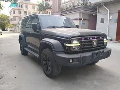2021 Tank 300 Off-road 2.0T Challenger, чёрный — фото 4
