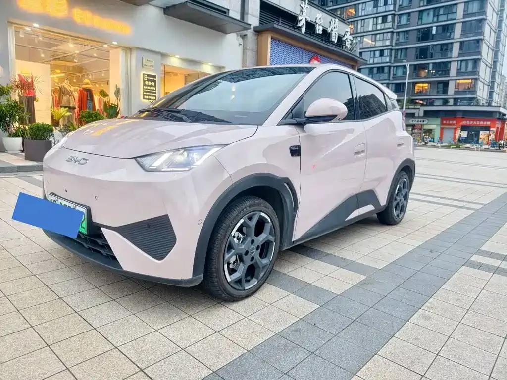 2025 BYD Seagull Smart Driving 305km Freedom