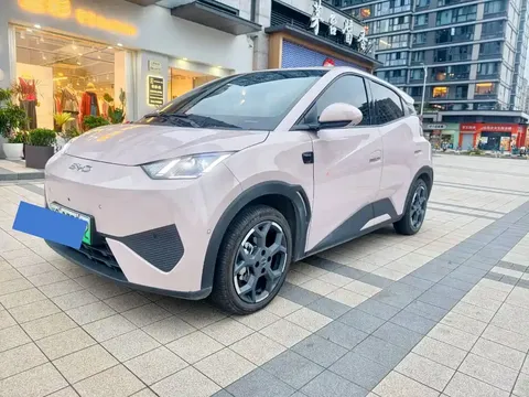 2025 BYD Seagull Smart Driving 305km Freedom