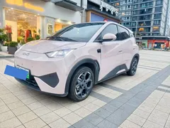 2025 BYD Seagull Smart Driving 305km Freedom — фото 1