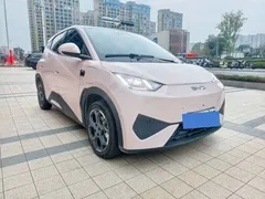 2025 BYD Seagull Smart Driving 305km Freedom — фото 3