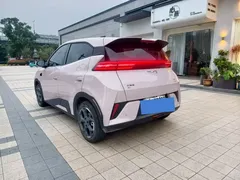 2025 BYD Seagull Smart Driving 305km Freedom — фото 4