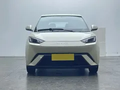 2024 BYD Seagull EV 305km Honor Freedom — фото 2