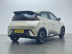 2024 BYD Seagull EV 305km Honor Freedom — фото 3