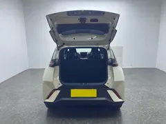 2024 BYD Seagull EV 305km Honor Freedom — фото 6