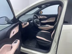 2024 BYD Seagull EV 305km Honor Freedom — фото 11