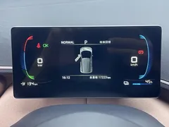 2024 BYD Seagull EV 305km Honor Freedom — фото 14