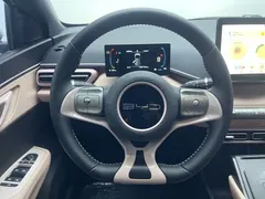 2024 BYD Seagull EV 305km Honor Freedom — фото 16