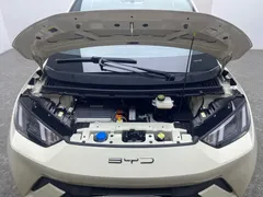 2024 BYD Seagull EV 305km Honor Freedom — фото 17