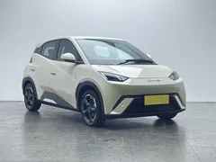 2024 BYD Seagull EV 305km Honor Freedom — фото 20
