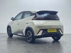 2024 BYD Seagull EV 305km Honor Freedom — фото 21