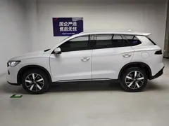 2024 BYD Song Pro Honor DM-i PHEV 71km Navigator, белый — фото 9
