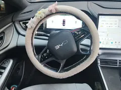 2023 BYD Seal PHEV 1.5L 121km Luxury — фото 15