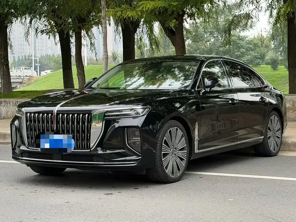 2025 Hongqi H9 2.0T 2WD Qixiang Luxury Business 5