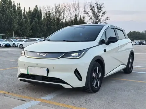 2025 BYD Dolphin Smart Driving 410km Fashion