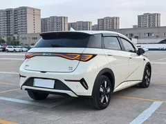 2025 BYD Dolphin Smart Driving 410km Fashion, белый — фото 9