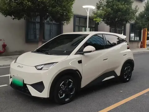 2025 BYD Seagull Smart Driving 305km Freedom