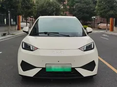 2025 BYD Seagull Smart Driving 305km Freedom — фото 2