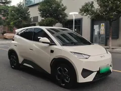 2025 BYD Seagull Smart Driving 305km Freedom — фото 3