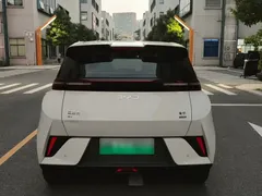 2025 BYD Seagull Smart Driving 305km Freedom — фото 5