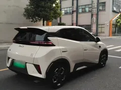 2025 BYD Seagull Smart Driving 305km Freedom — фото 6