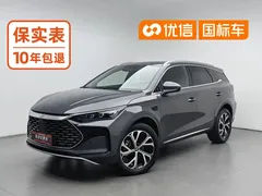 2025 BYD Tang DM-i PHEV 115km Flagship — фото 1
