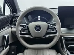 2025 BYD Tang DM-i PHEV 115km Flagship — фото 11
