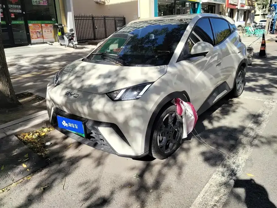 2025 BYD Seagull 305km Freedom