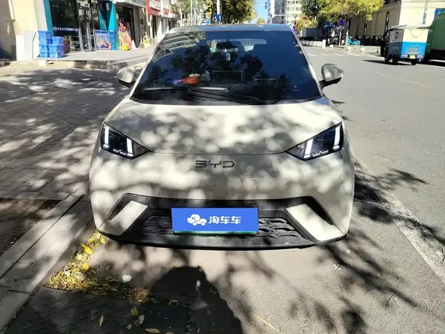 2025 BYD Seagull 305km Freedom