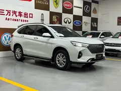 2023 Haval M6 Plus 1.5T DCT Luxury, белый — фото 3