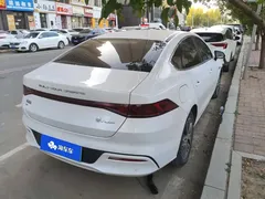 2023 BYD Qin PLUS Champion EV 420km, белый — фото 3