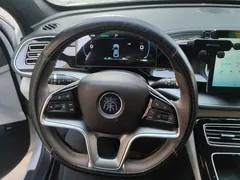 2023 BYD Qin PLUS Champion EV 420km, белый — фото 15