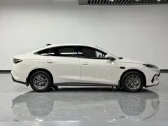 2025 BYD Seal 06 DM-i PHEV Smart Driving 80km Luxury, белый — фото 16