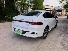 2024 BYD Qin PLUS Honor EV 510km Leading, белый — фото 6