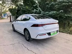 2024 BYD Qin PLUS Honor EV 510km Leading, белый — фото 8
